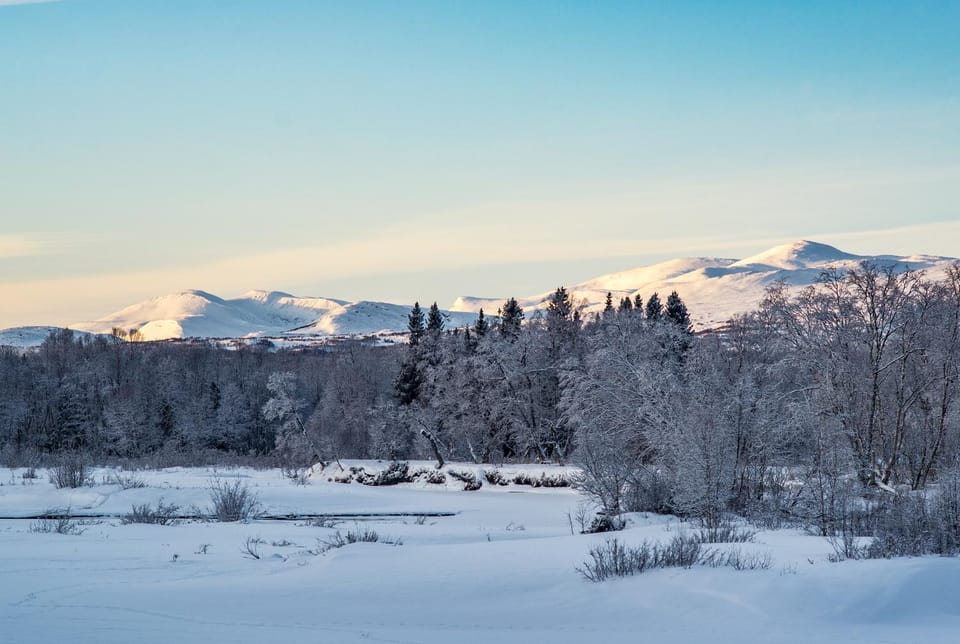 Winter