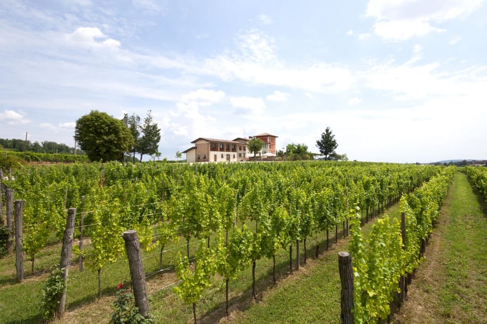 Alloggio Agrituristico CORTE SAN BIAGIO Bed and Breakfast in Friuli-Venezia Giulia