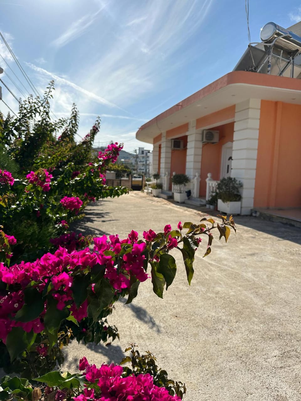 Garden view