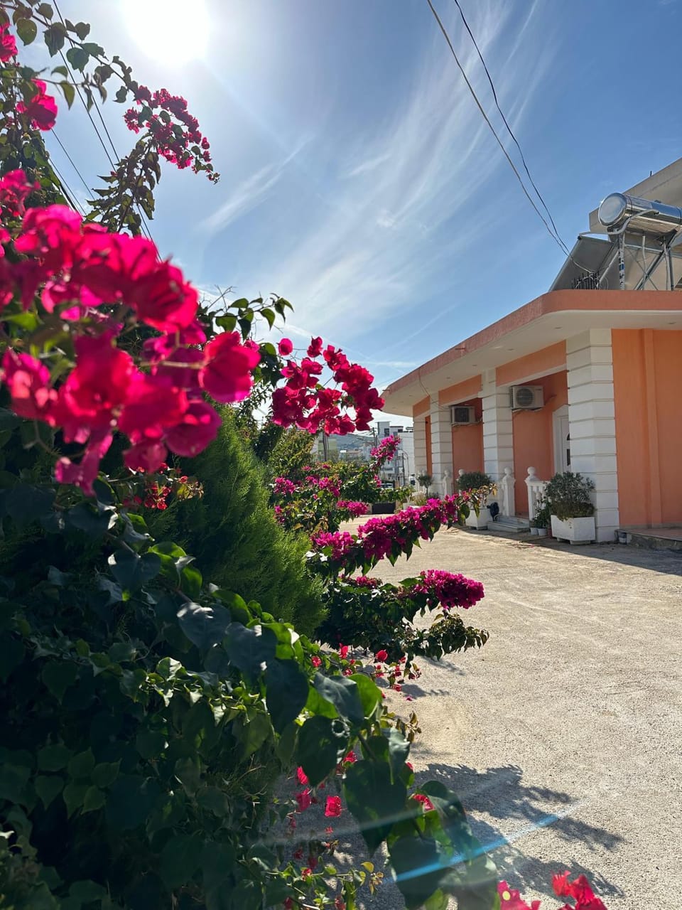 Garden view
