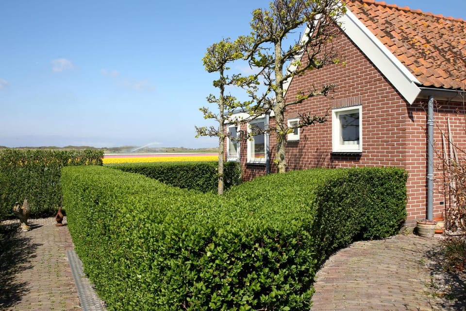 Property building, Garden