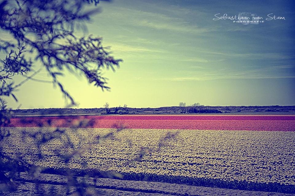 Natural landscape