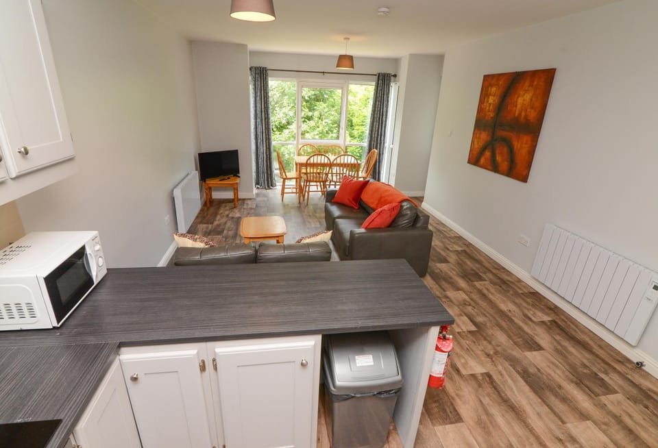 Kitchen or kitchenette, Dining area, oven, stove, toaster