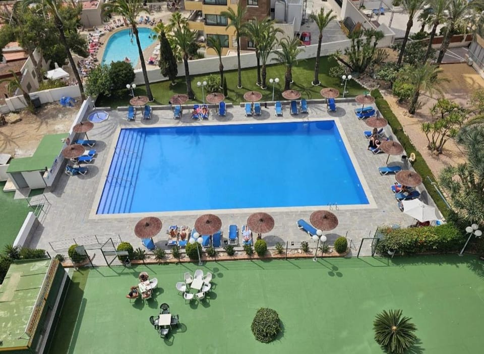 Garden, Pool view, Swimming pool, sunbed