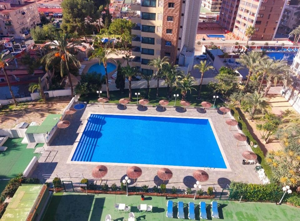 City view, Pool view, Swimming pool, sunbed