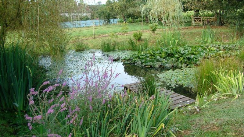 Garden, Lake view