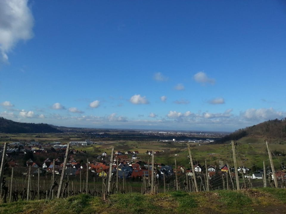 Neighbourhood