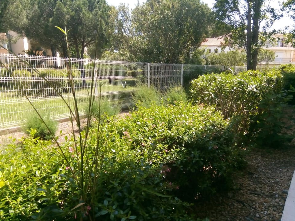 Garden view