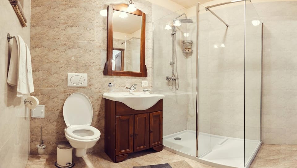 Shower, Toilet, Bathroom, towels