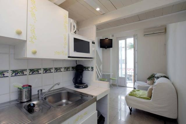 Studio- Antibes-Juan les Pins- Cote d'Azur Apartment in Antibes