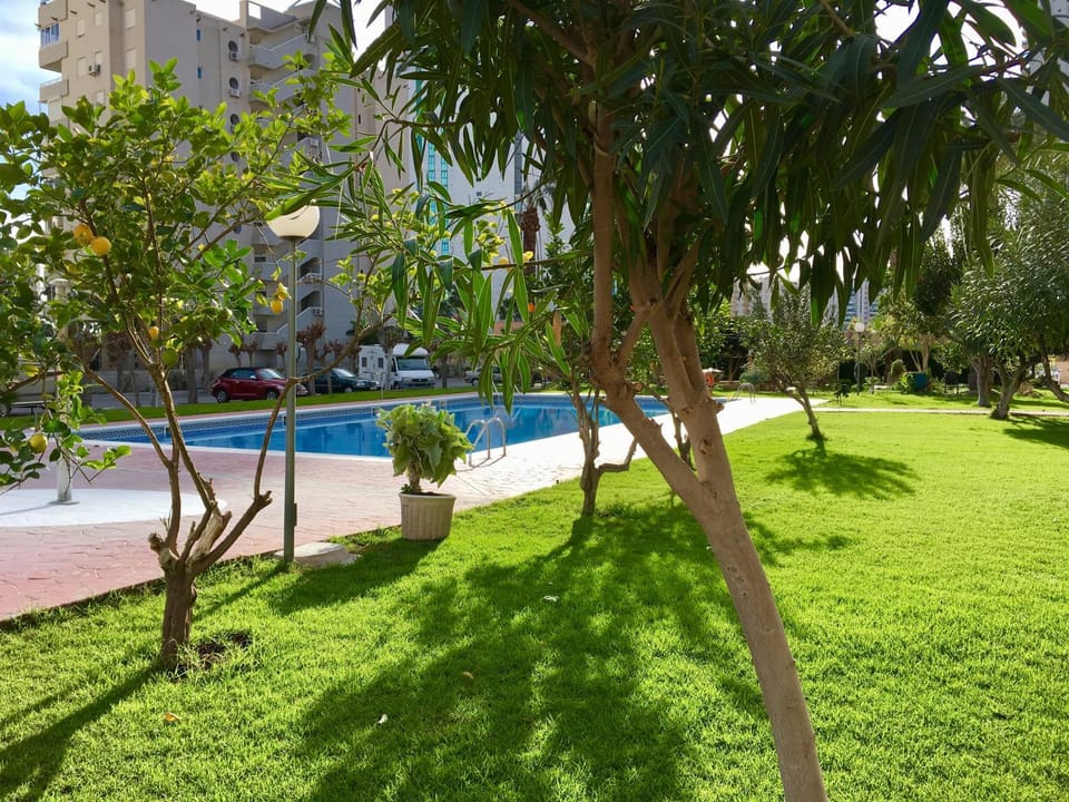 Garden, Swimming pool