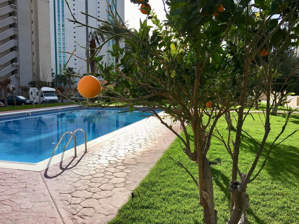 Garden, Garden view, Pool view, Swimming pool