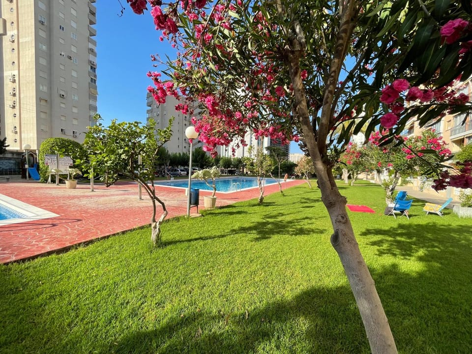 Garden, Swimming pool