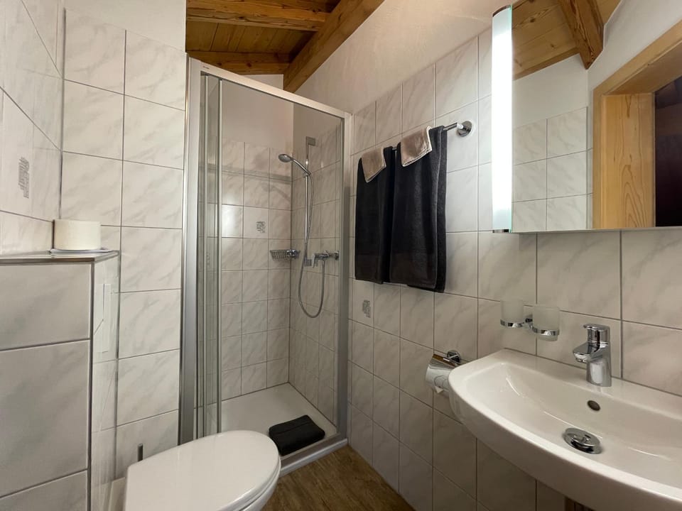 Shower, Toilet, Bathroom, towels