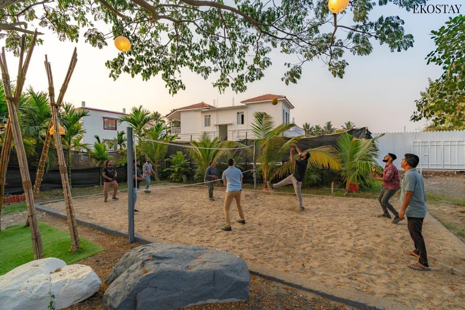 Day, People, Natural landscape, Children play ground, Garden, Evening entertainment, Garden view, group of guests