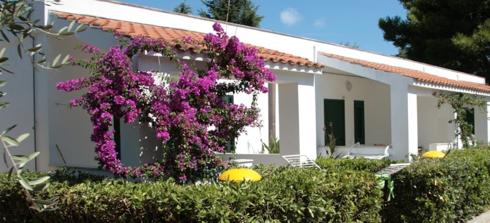 Property building, Garden