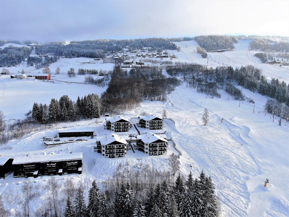 Property building, Bird's eye view, Winter, Skiing