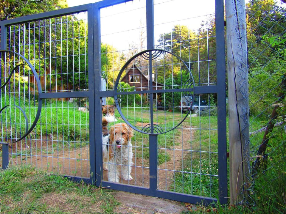Garden, Lobby or reception, Pets