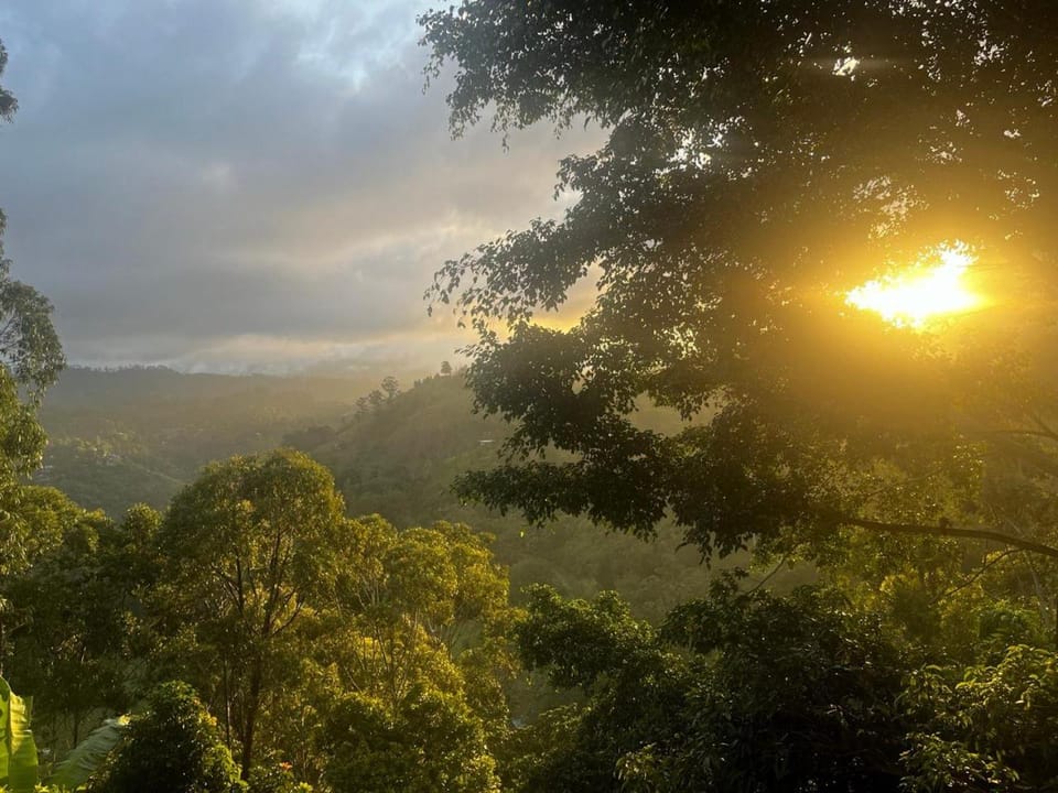 Property building, Sunrise