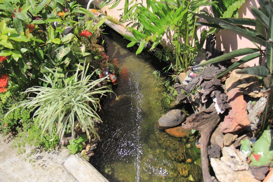Garden, Animals