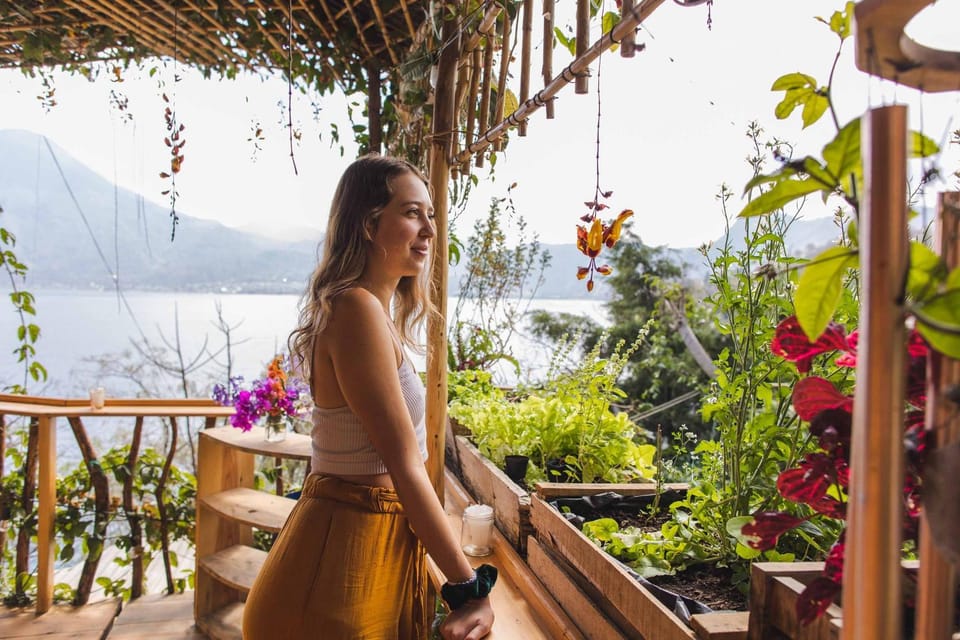 Garden view, Garden view