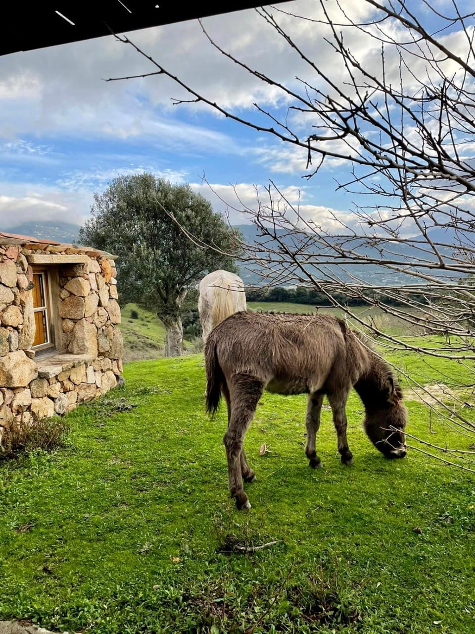 BERGERIE PARADISU, Domaine de l Ogliastru House in Corsica