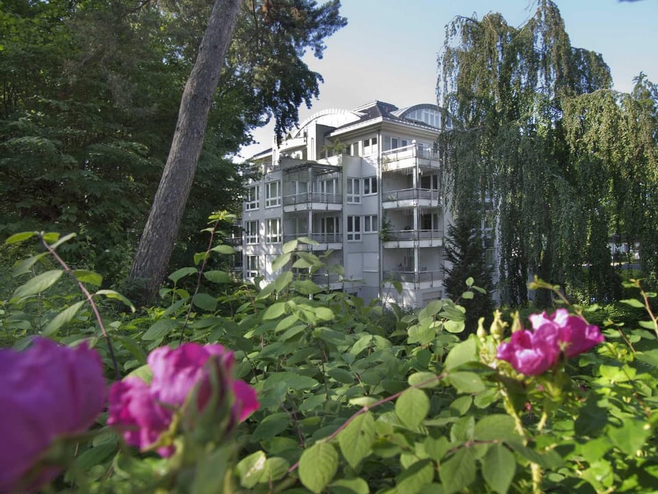 Villa Darja Wohnung 13 Apartment in Heringsdorf