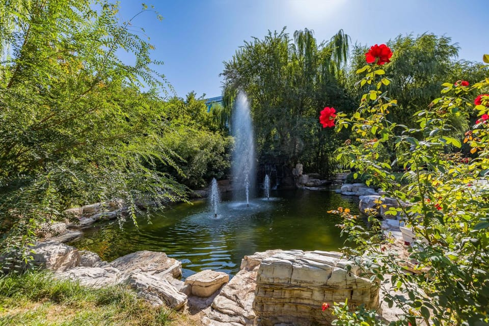 Spring, Natural landscape, Garden, Garden view