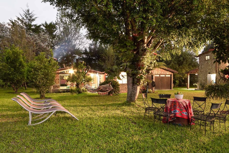 Property building, Patio, Spring, Day, Natural landscape, Garden, Garden view, sunbed