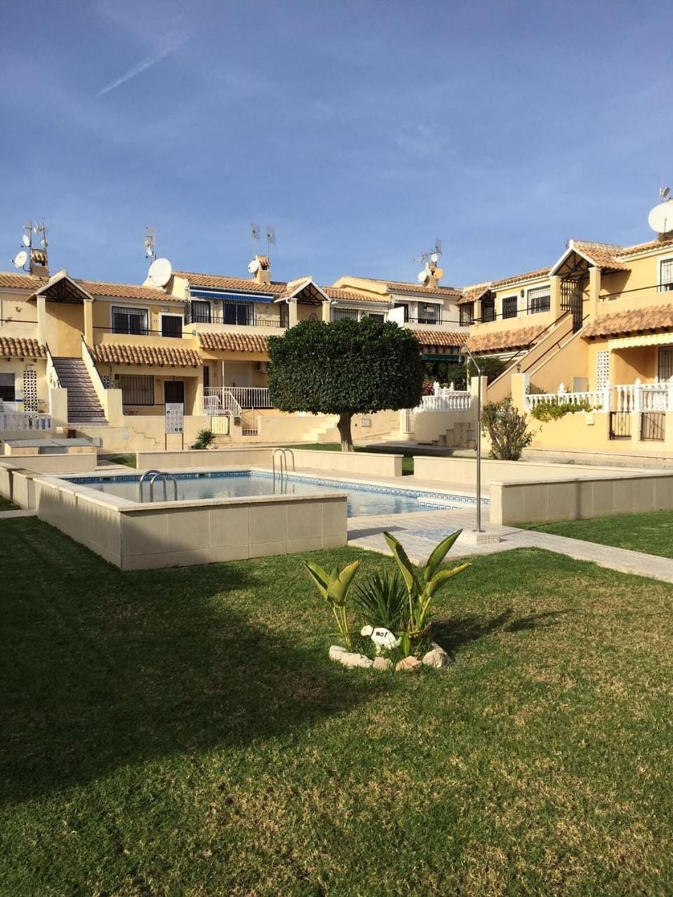 Activities, Garden, Swimming pool