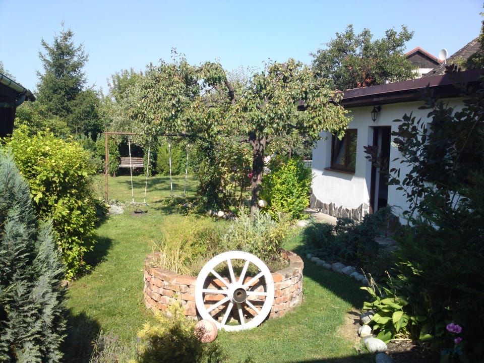 Spring, Garden, Garden view