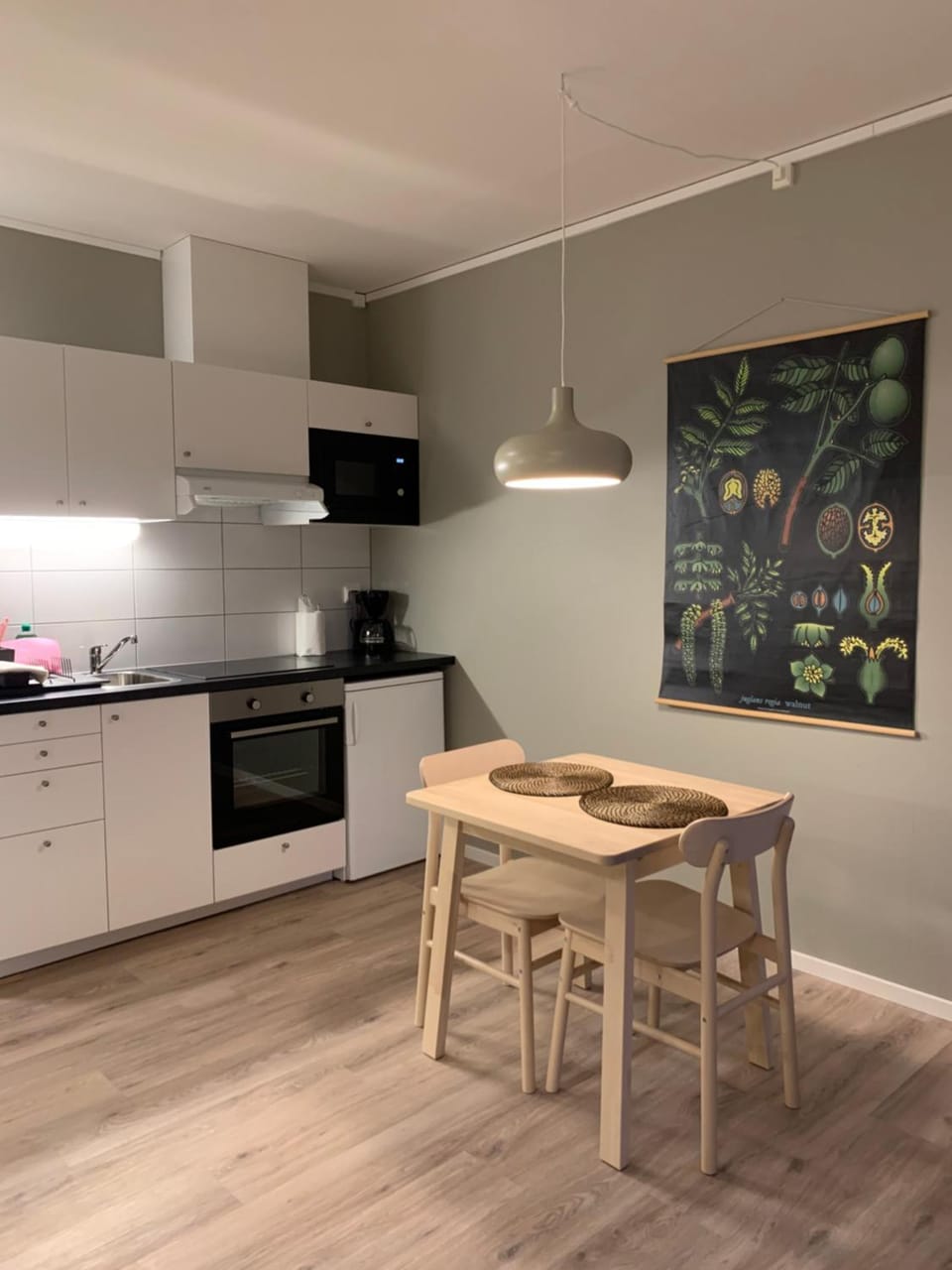 Kitchen or kitchenette
