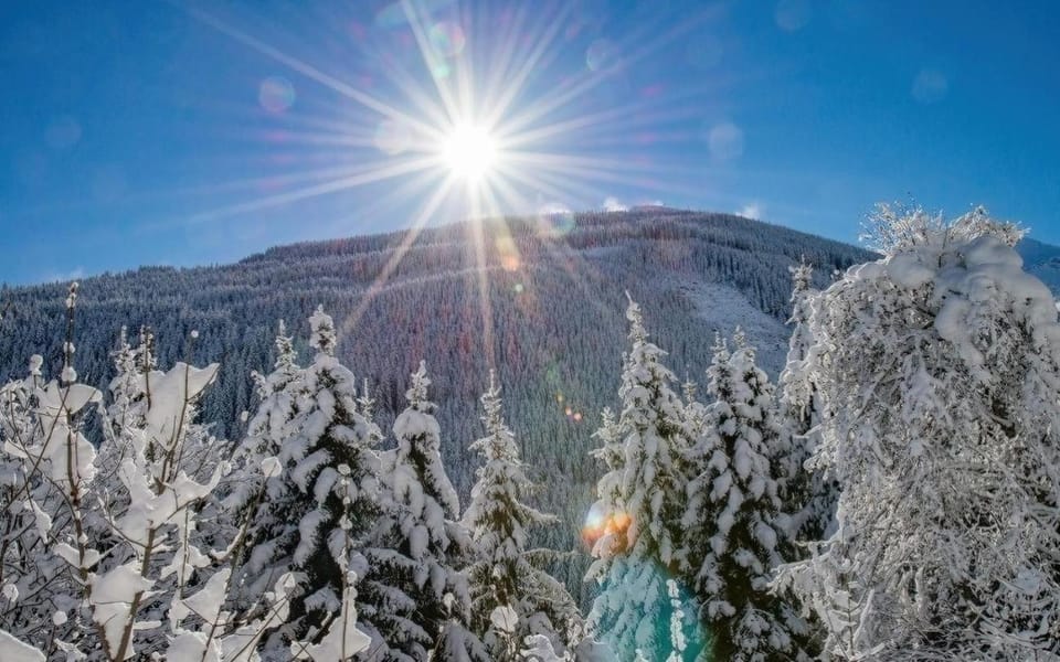 Alte Schmiede Apartment in Bad Hofgastein