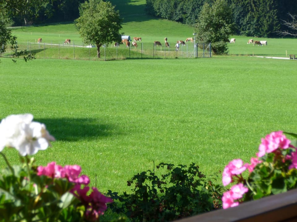 Ferienwohnung Edmeier Apartment in Aschau im Chiemgau