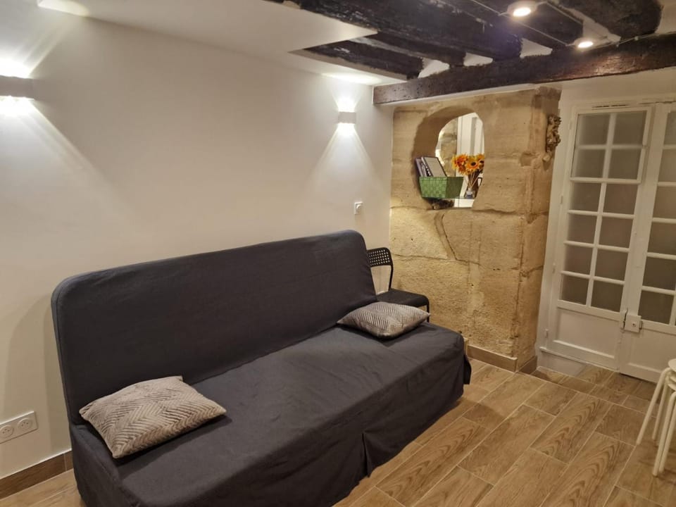 Appartement au coeur du Paris. Apartment in Paris