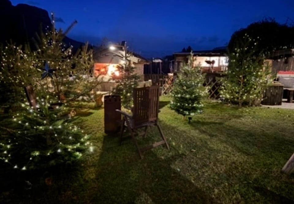 Night, Winter, Garden