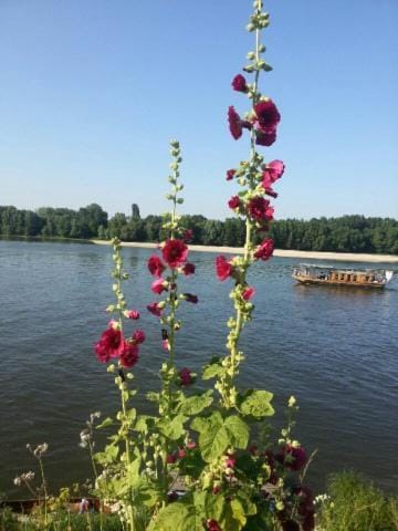 le prieuré Bed and Breakfast in Pays de la Loire