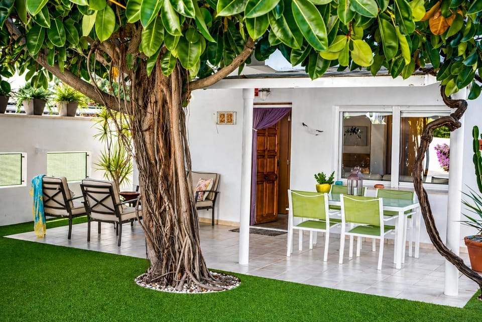 Patio, Spring, Day, Garden, Balcony/Terrace, Living room, Seating area, Dining area, Garden view