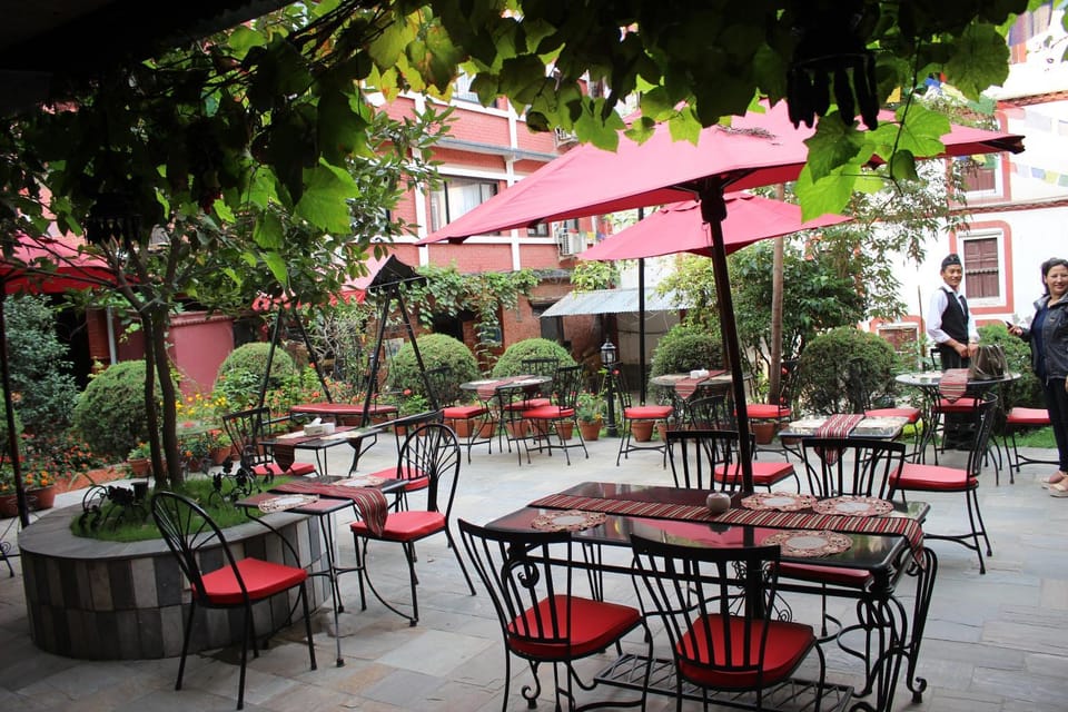 Restaurant/places to eat, Garden, Food and drinks