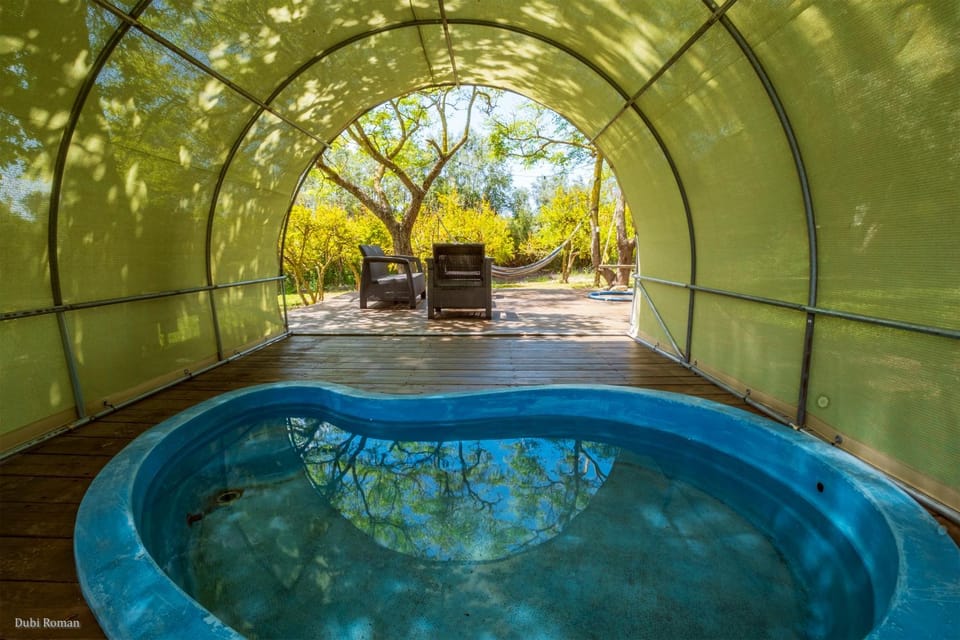 Garden, Swimming pool