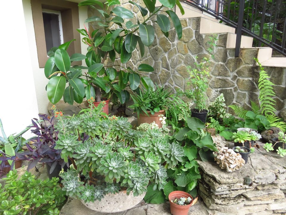 Property building, Garden