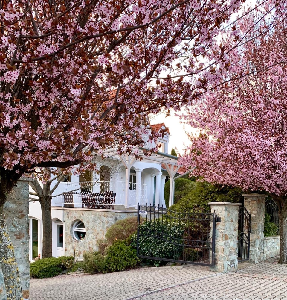 Property building, Facade/entrance, Street view