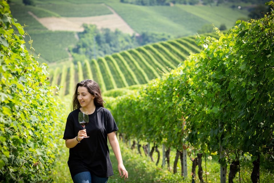 Bird's eye view, Summer, On site, Garden view, Alcoholic drinks