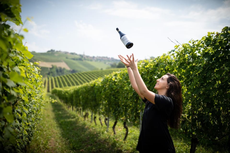 Day, Bird's eye view, Summer, On site, Garden view, Alcoholic drinks, Family