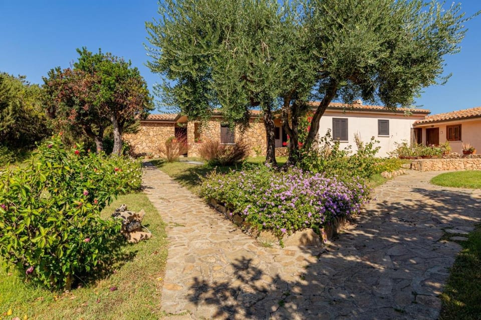 Property building, Garden, Garden view