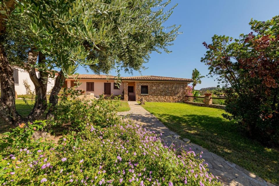 Property building, Garden, Garden view