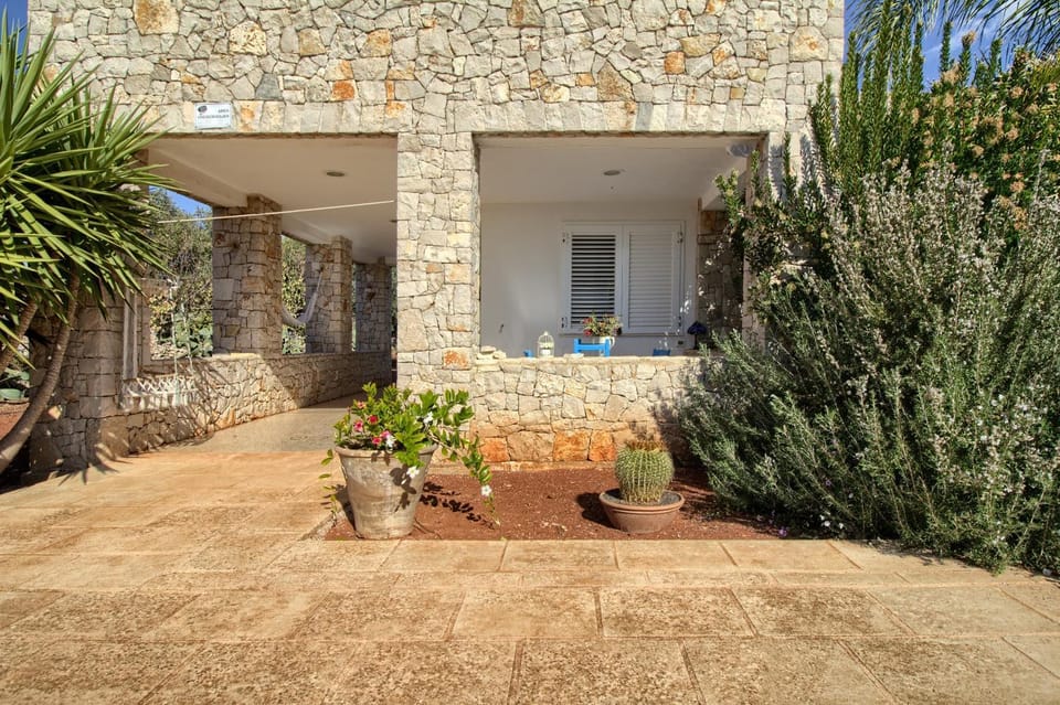 Property building, Garden, Garden view