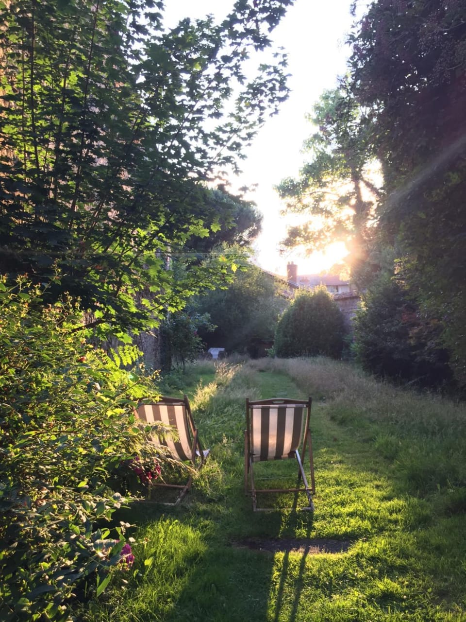 Day, Natural landscape, Summer, Garden, Sunset, sunbed