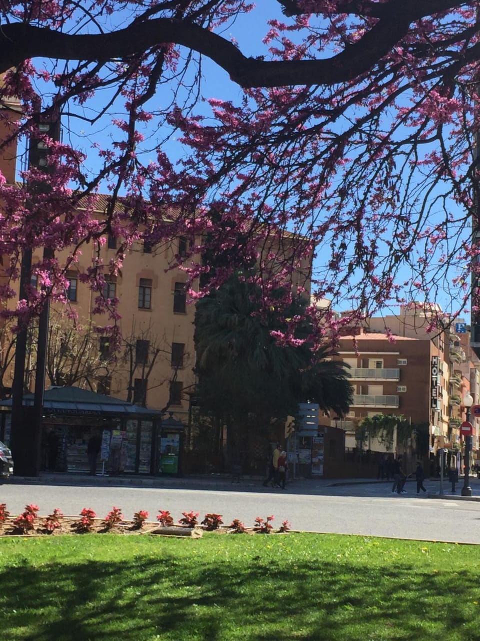 Property building, Nearby landmark, Spring, Neighbourhood, View (from property/room)