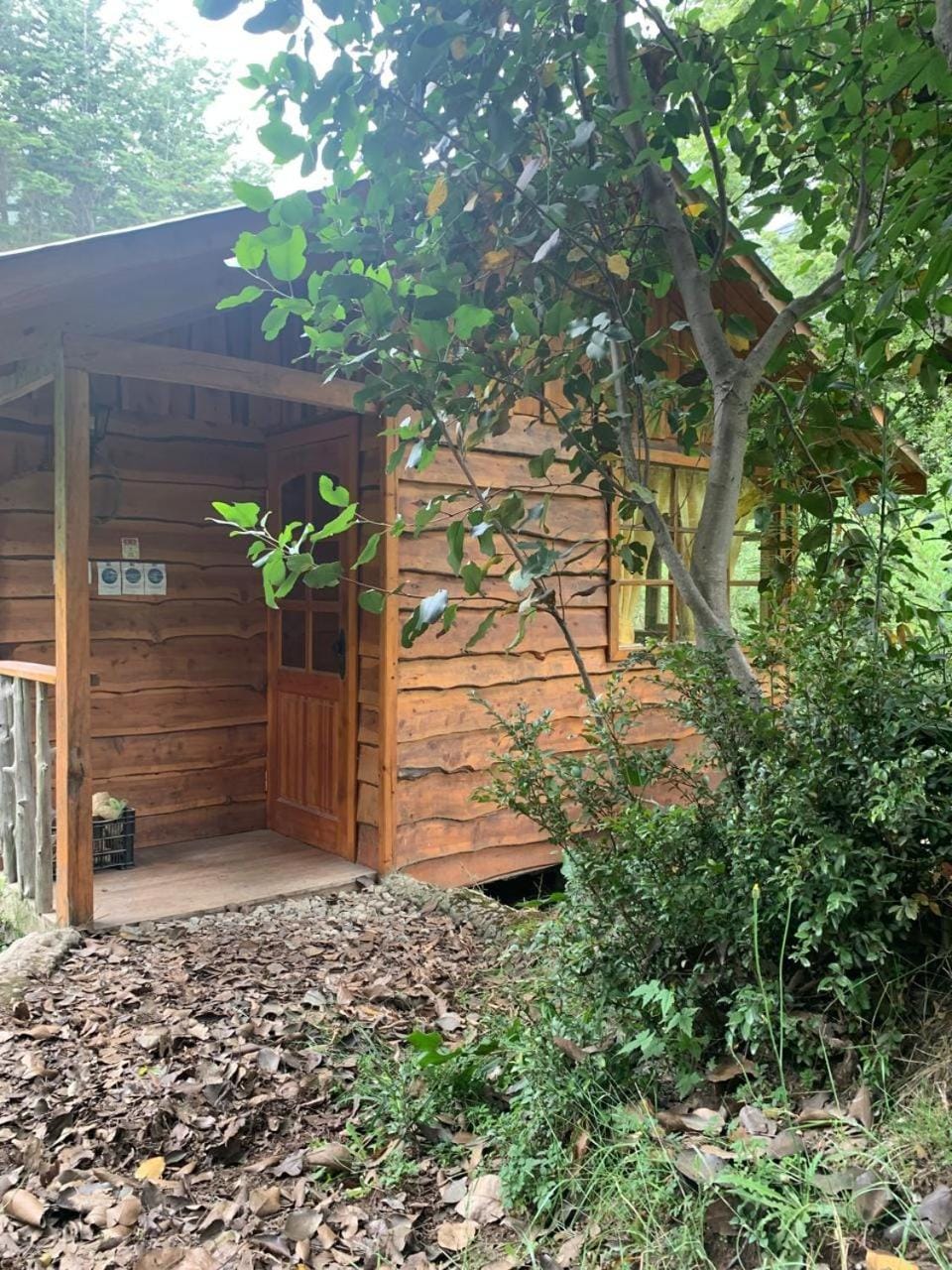 Cabañas Sol de Montañas House in Los Lagos, Chile
